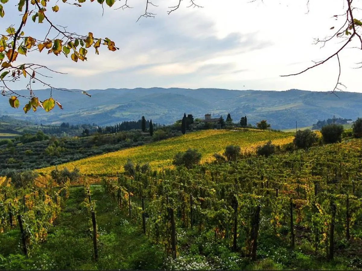 Casa vacanze Locazione Turistica Torsoli Lucolena in Chianti